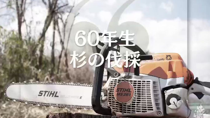 三重県鈴鹿市にて杉の伐採施工動画事例